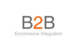 B2B Ecommerce