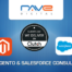 Top Magento and Saleforce Consultants