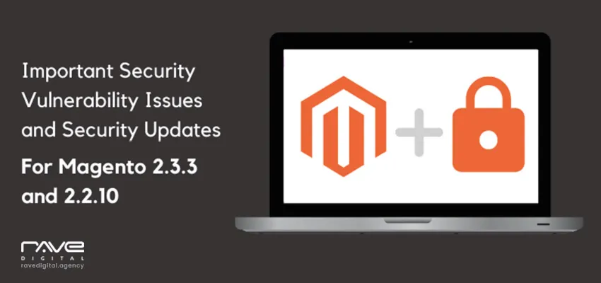 Important Security Vulnerability Issues and Security Updates For Magento 2.3.3 and 2.2.10