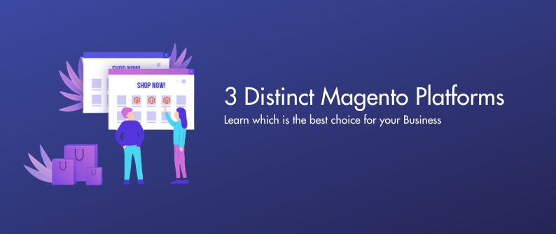 3 Distinct Magento Platforms