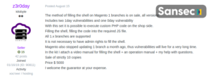Save Your Magento Stores From Hackers