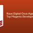 Rave Digital Top Magento Development Companies