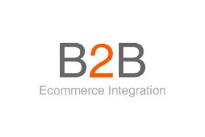 B2B Ecommerce Integration